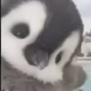 7112 - steam id 76561199153893396