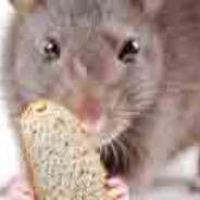 Ratman