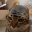 Eclair Farron