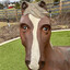 A Horse Named Charlie