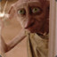 Dobby1233