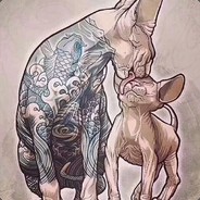 巴特王子爱导管