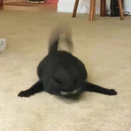 滴答的雨声对我撒了谎