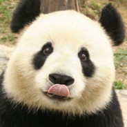 PandasonPanda