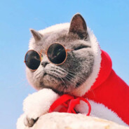 狼人都是鳝变的