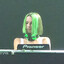 dotmaister ♫