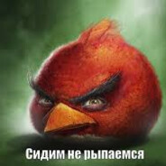 ChatGPS's avatar
