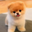 tomekr_9