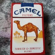 Camel