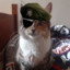 Ceo_of_Mir_Sorochek