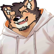 帕布拉西亚的秘密观测员