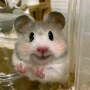 鼠一鼠二的杰瑞