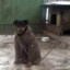 bo_marley(LAZAR DJAN)