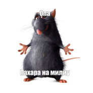 আনিLirTvaNপ:)