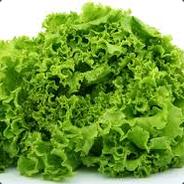 lettuce