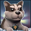 did you see my dog