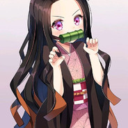 416698019