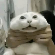 mataperros3000oficial