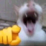 daphuc