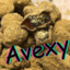 Avexy