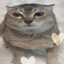 felixPicunF6