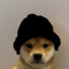 bruno