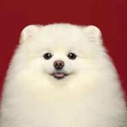 汤小汤