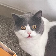 微信转账三百块