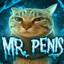 Mr. Penis
