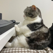 她从来没有爱过你