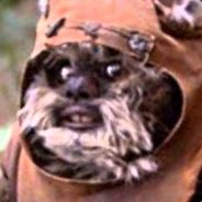 Ruff Prophet
