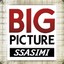 BigPicture_SSASIMI