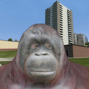 ™pooᵗis benˢer™