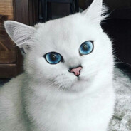 rekantyyy avatar