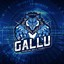 Gallu9