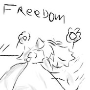 birb