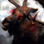 EVIL MOOSE