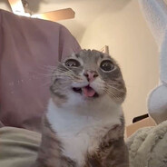 sss - steam id 76561199875069322