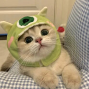 DF_佛山第一密客