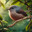 EpsteinBird