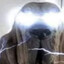 ThunderGod