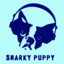 Snarky Puppy