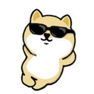 你急了吗？我是没急###