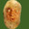 Mr.Potato