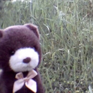 Đẳng cấp ma đạo