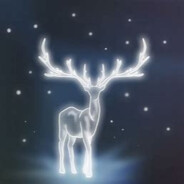 五星上将之芒鹿子