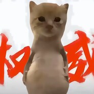 猫皮包史