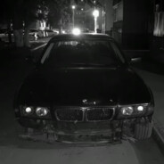 💘L💖𝓢educed𝓟enguin