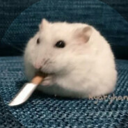 我曾路过你的心