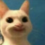 Kotik